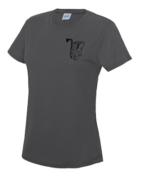 Ladies Plain Tee Shirt